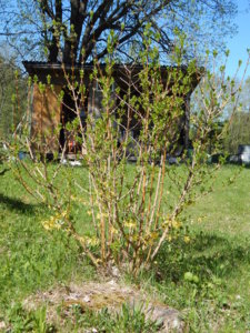 DSCN9861.JPG