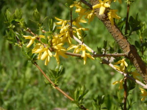 DSCN9863.JPG