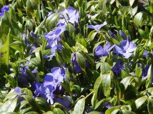 DSCN9865.JPG