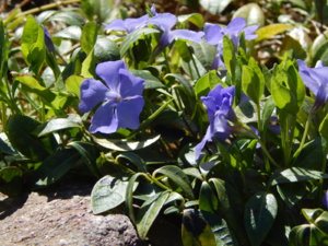 DSCN9866.JPG
