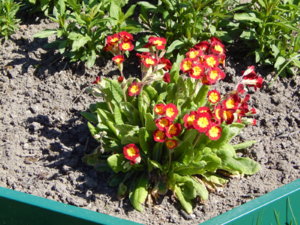 DSCN9896.JPG