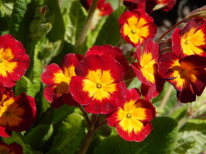 DSCN9897.JPG
