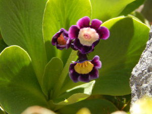 DSCN9912.JPG