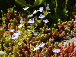 DSCN9907.JPG