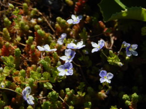 DSCN9909.JPG