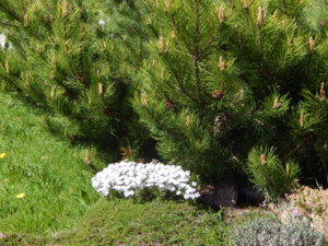 DSCN9914.JPG