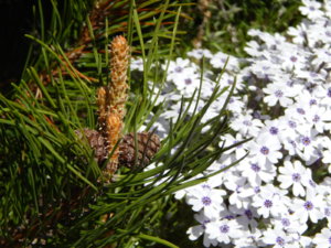 DSCN9916.JPG