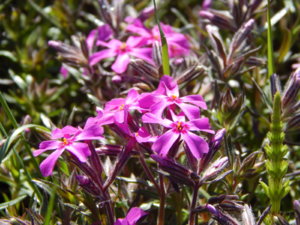 DSCN9911.JPG