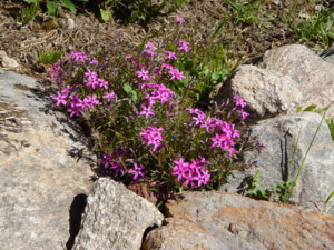 DSCN9938.JPG