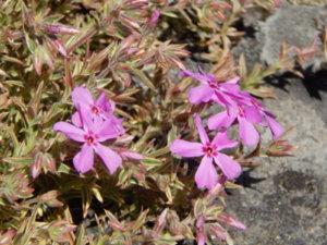 DSCN9918.JPG