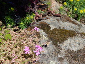 DSCN9920.JPG
