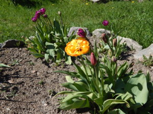 DSCN9867.JPG
