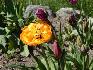 DSCN9868.JPG