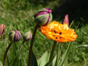 DSCN9870.JPG