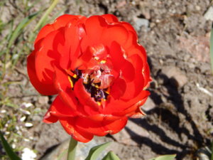 DSCN9874.JPG