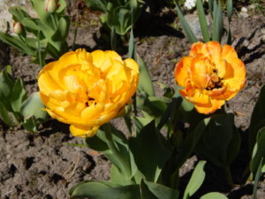 DSCN9875.JPG
