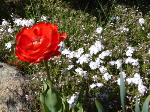 DSCN9876.JPG