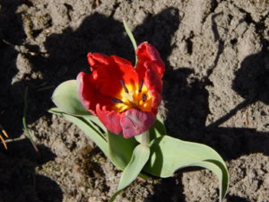 DSCN9877.JPG
