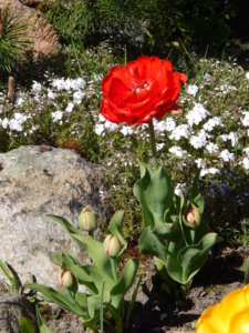 DSCN9880.JPG
