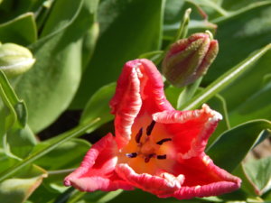 DSCN9885.JPG