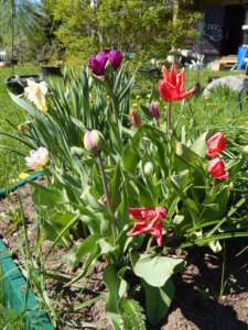 DSCN9886.JPG