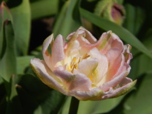 DSCN9889.JPG
