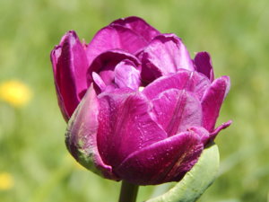 DSCN9890.JPG