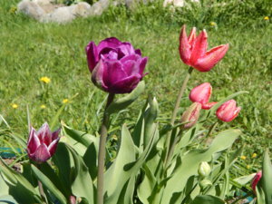 DSCN9894.JPG