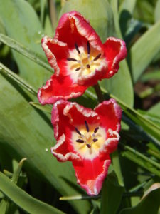DSCN9965.JPG