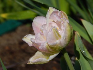 DSCN9967.JPG