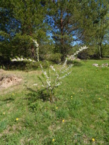 DSCN9935.JPG