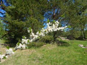 DSCN9936.JPG