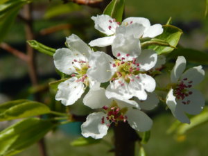 DSCN9900.JPG