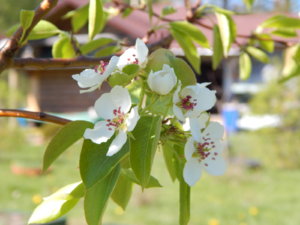 DSCN9901.JPG
