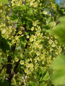 DSCN9930.JPG