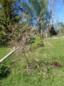 DSCN9932.JPG