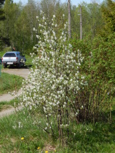 DSCN9981.JPG