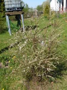 DSCN9980.JPG