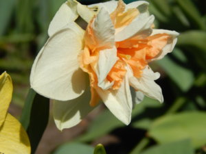 DSCN9891.JPG
