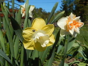 DSCN9892.JPG