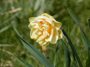 DSCN9921.JPG