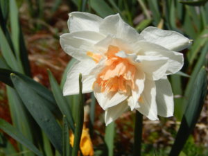 DSCN9922.JPG