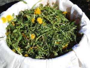 DSCN9953.JPG