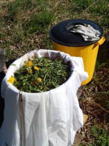 DSCN9954.JPG