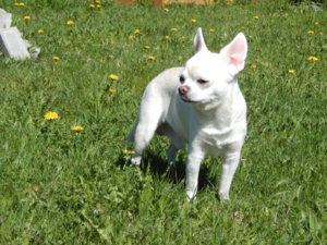 DSCN9926.JPG