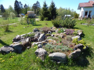 DSCN9903.JPG