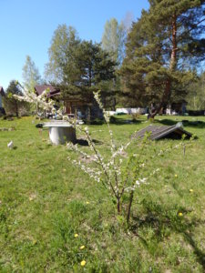 DSCN9940.JPG