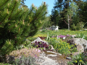 DSCN9985.JPG