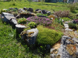 DSCN9986.JPG