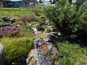 DSCN9987.JPG